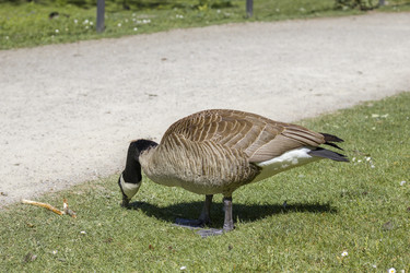 Similar image 22253068