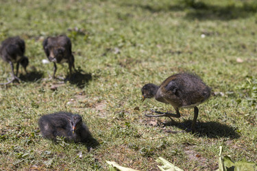 Similar image 22253071