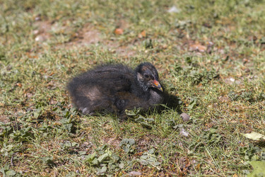 Similar image 22253072