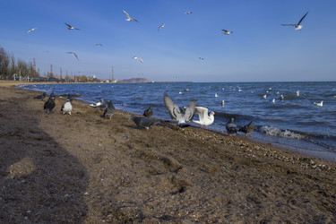 Similar image 22268350