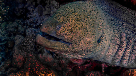 Similar image 22268353