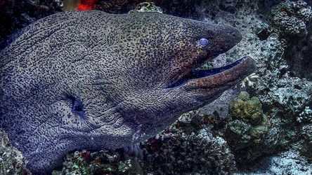 Similar image 22268354