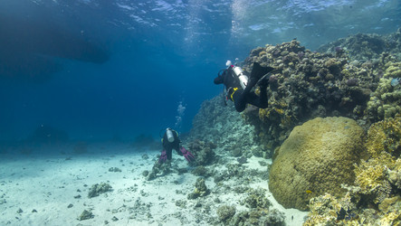 Similar image 22268357