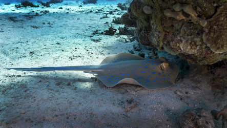 Similar image 22268358