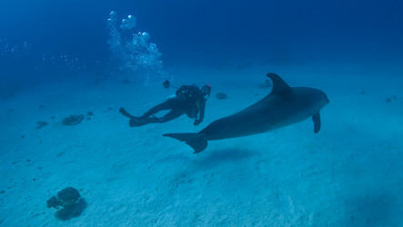 Similar image 22268361