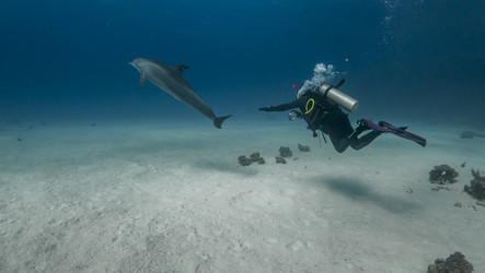 Similar image 22268362