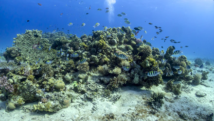 Similar image 22268363