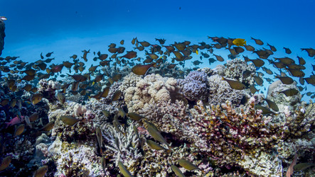 Similar image 22268365