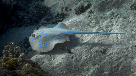 Similar image 22268366