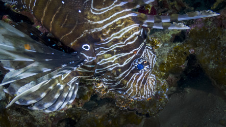 Similar image 22268367