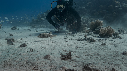 Similar image 22268369