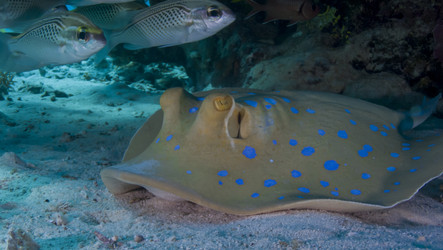 Similar image 22268370