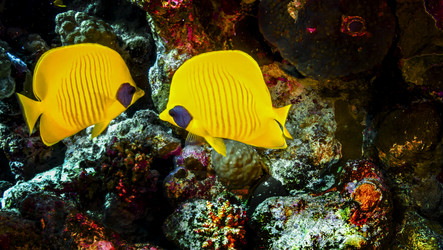 Similar image 22268372