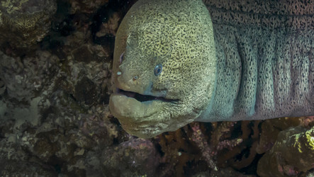 Similar image 22268373