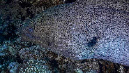 Similar image 22268375