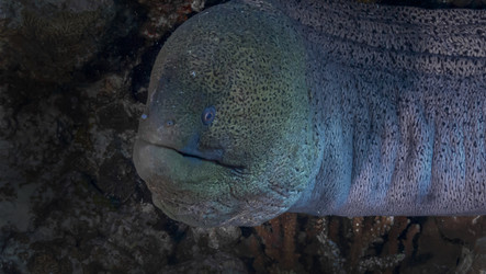 Similar image 22268376