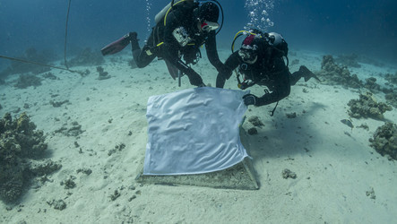 Similar image 22268377