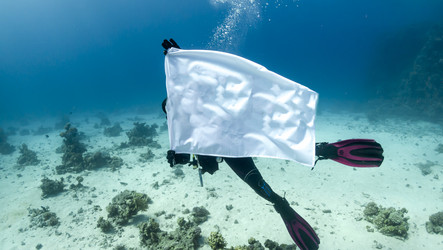 Similar image 22268378