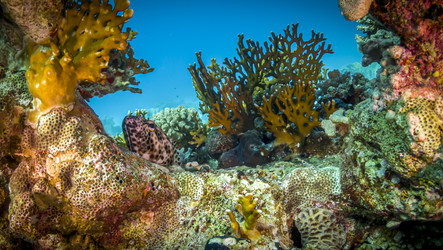 Similar image 22268379