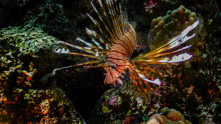 Similar image 22268380