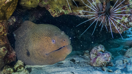 Similar image 22268381