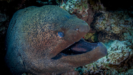 Similar image 22268382