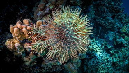 Similar image 22268418