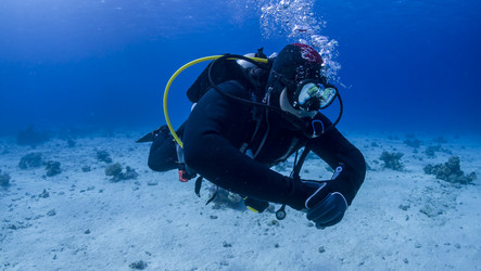 Similar image 22268420