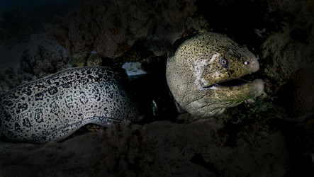 Similar image 22268422