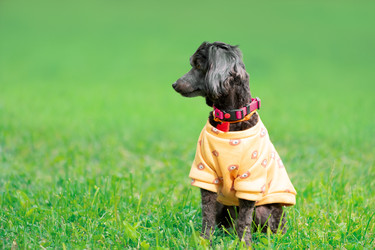 Similar image 22259804