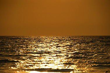 Similar image 22268491