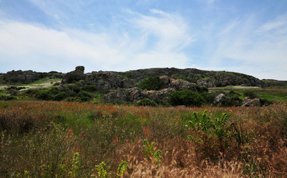 Similar image 22268495