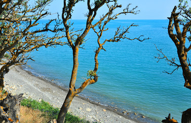 Similar image 22268502