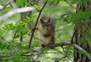 Similar image 22268503