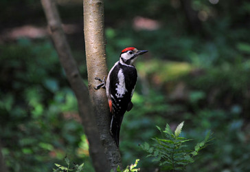 Similar image 22268512