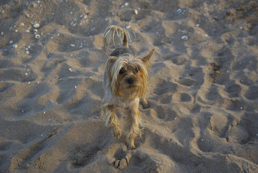 Similar image 22268473