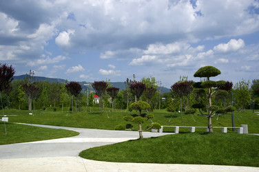 Similar image 22268516