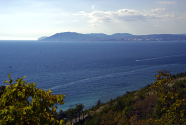 Similar image 22268518