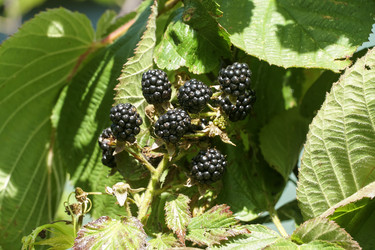 Similar image 22250820