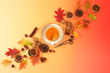 Similar image 22251722