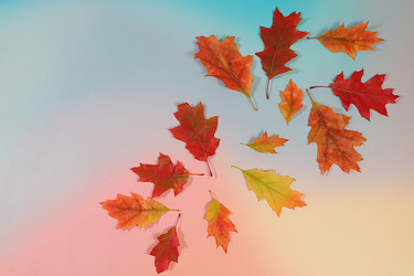 Similar image 22251725