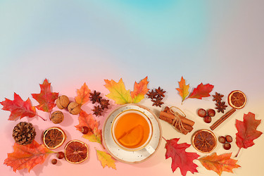 Similar image 22251732