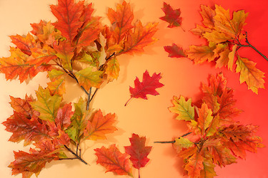 Similar image 22251735