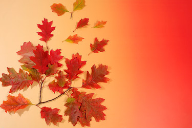 Similar image 22251738