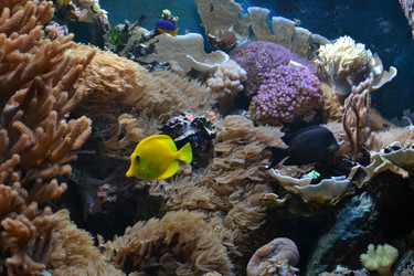 Similar image 22251497