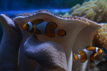 Similar image 22251498