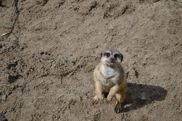 Similar image 22251499