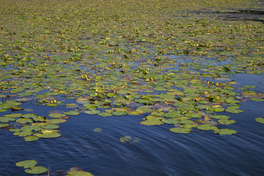 Similar image 22251500