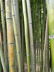 Similar image 22270838