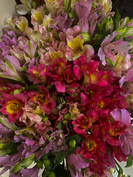 Similar image 22275122